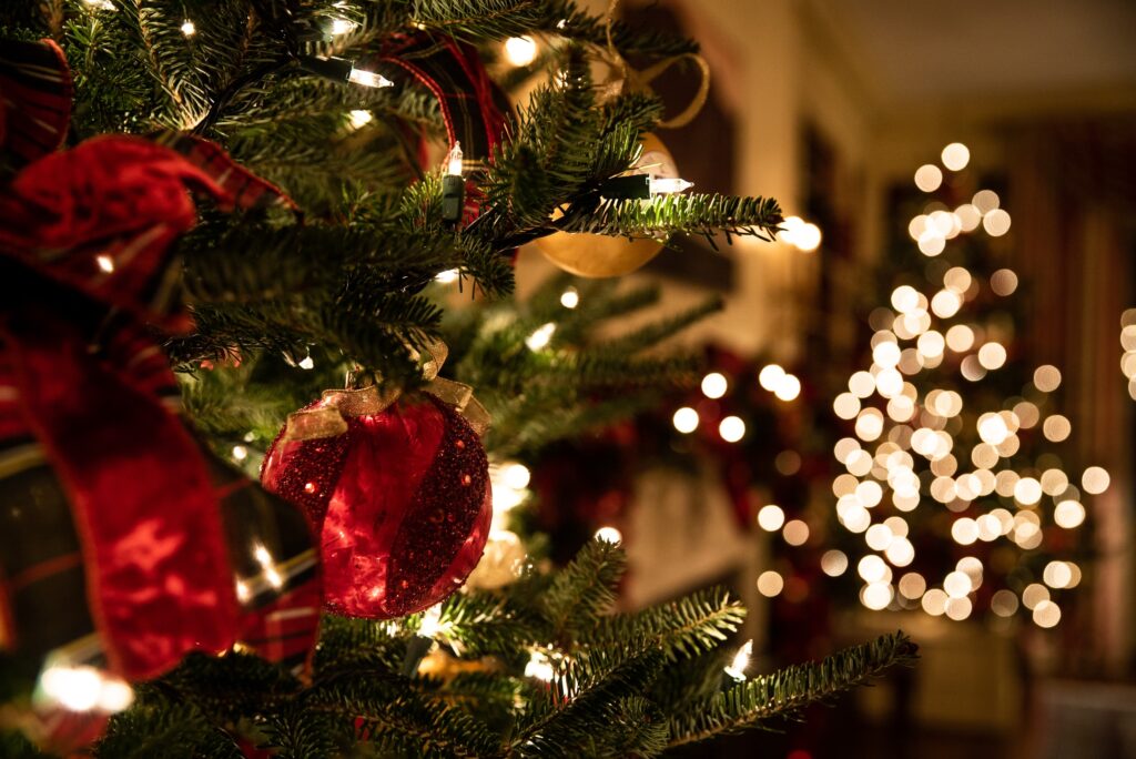 Behind the Holiday Glow: Addressing Domestic Violence During the Holiday Season