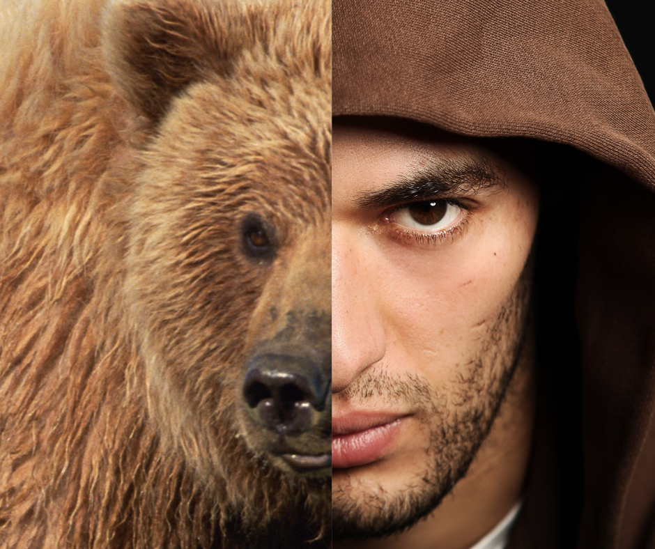 The Purpose of the Man versus Bear Hypothetical