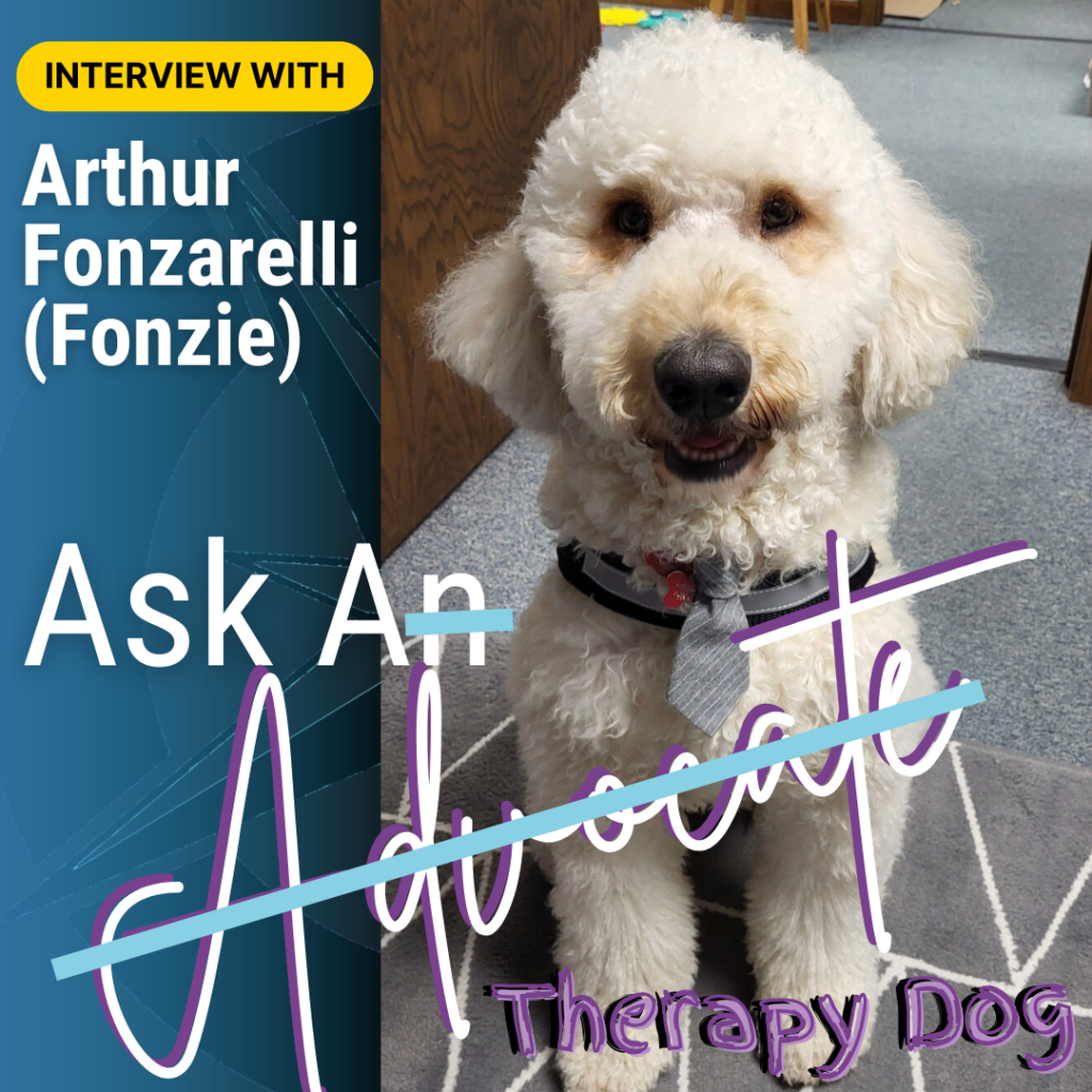 "Ask An Advocate" - interview with Therapy Dog Arthur Fonzarelli